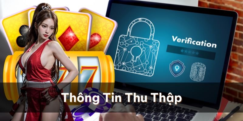 Những thông tin mà nhà cái 8xBet sẽ thu thập từ người dùng